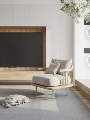 thi công nội thất nhà phố trọn gói - Nội Thất Passion