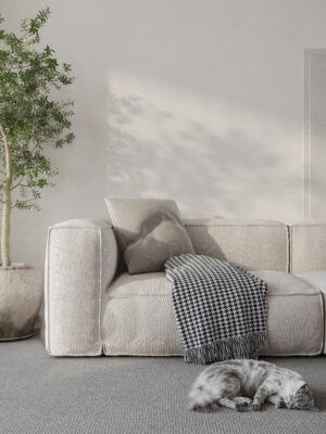 thi công nội thất nhà phố trọn gói - Nội Thất Passion